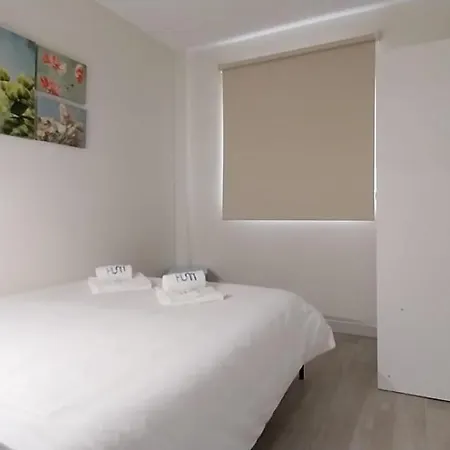 Apartment Why Not Centro